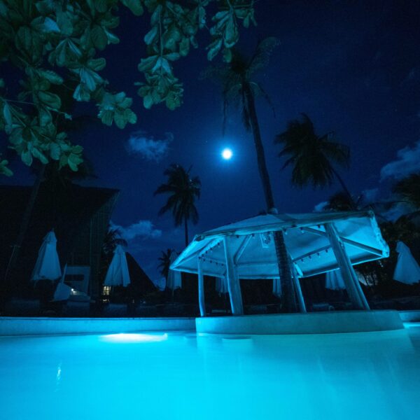 poolnight-00001-2